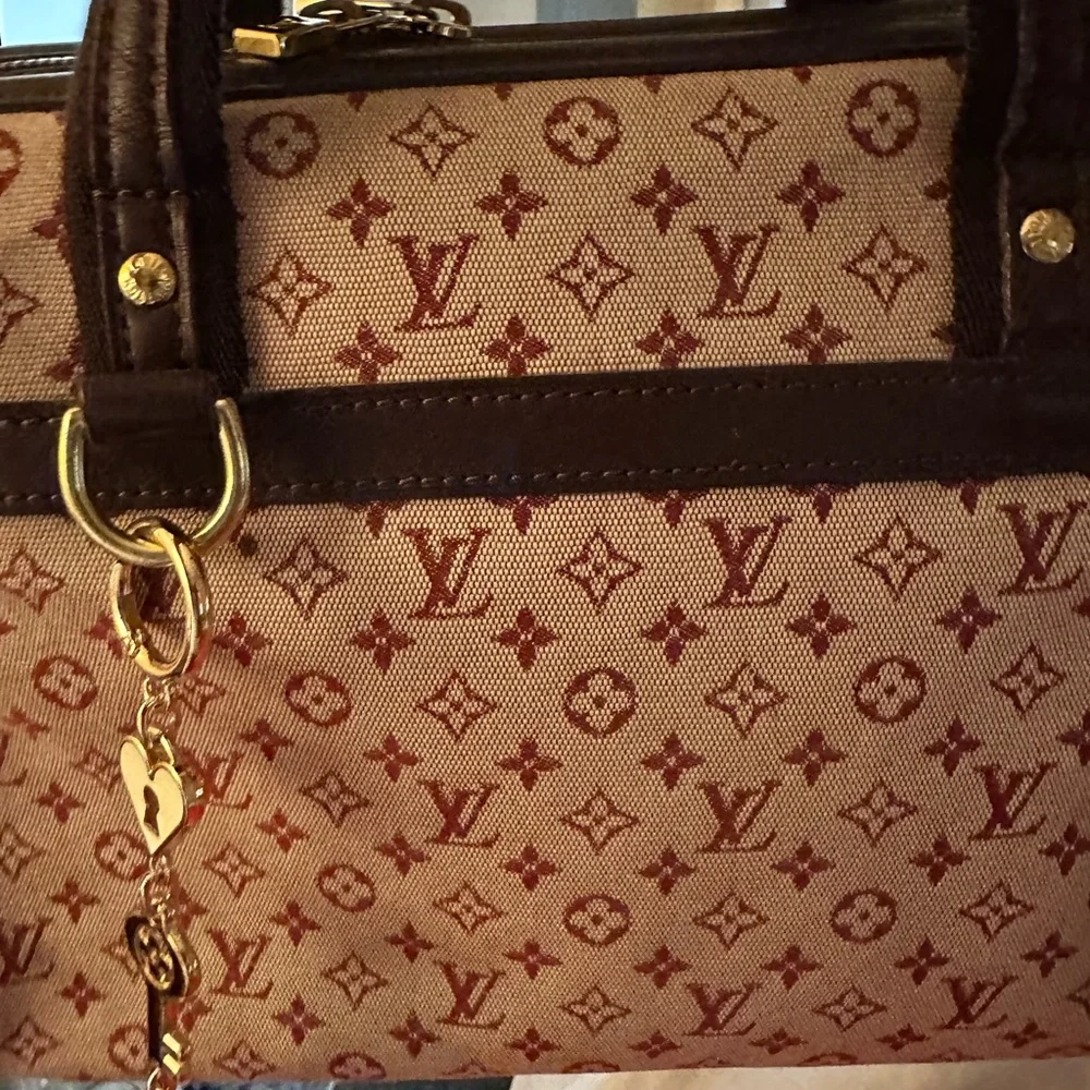 Louis Vuitton Josephine Doctor Bag